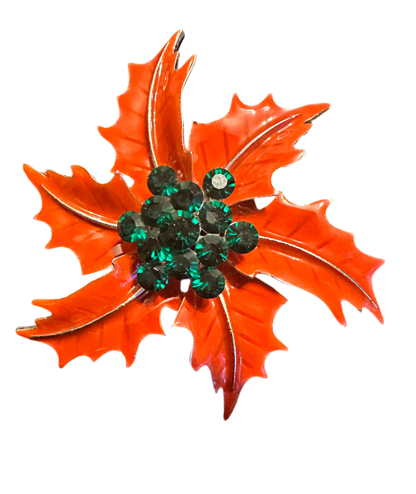 Poinsettia