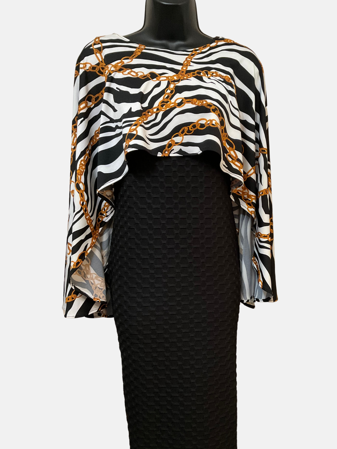 Zebra Chained