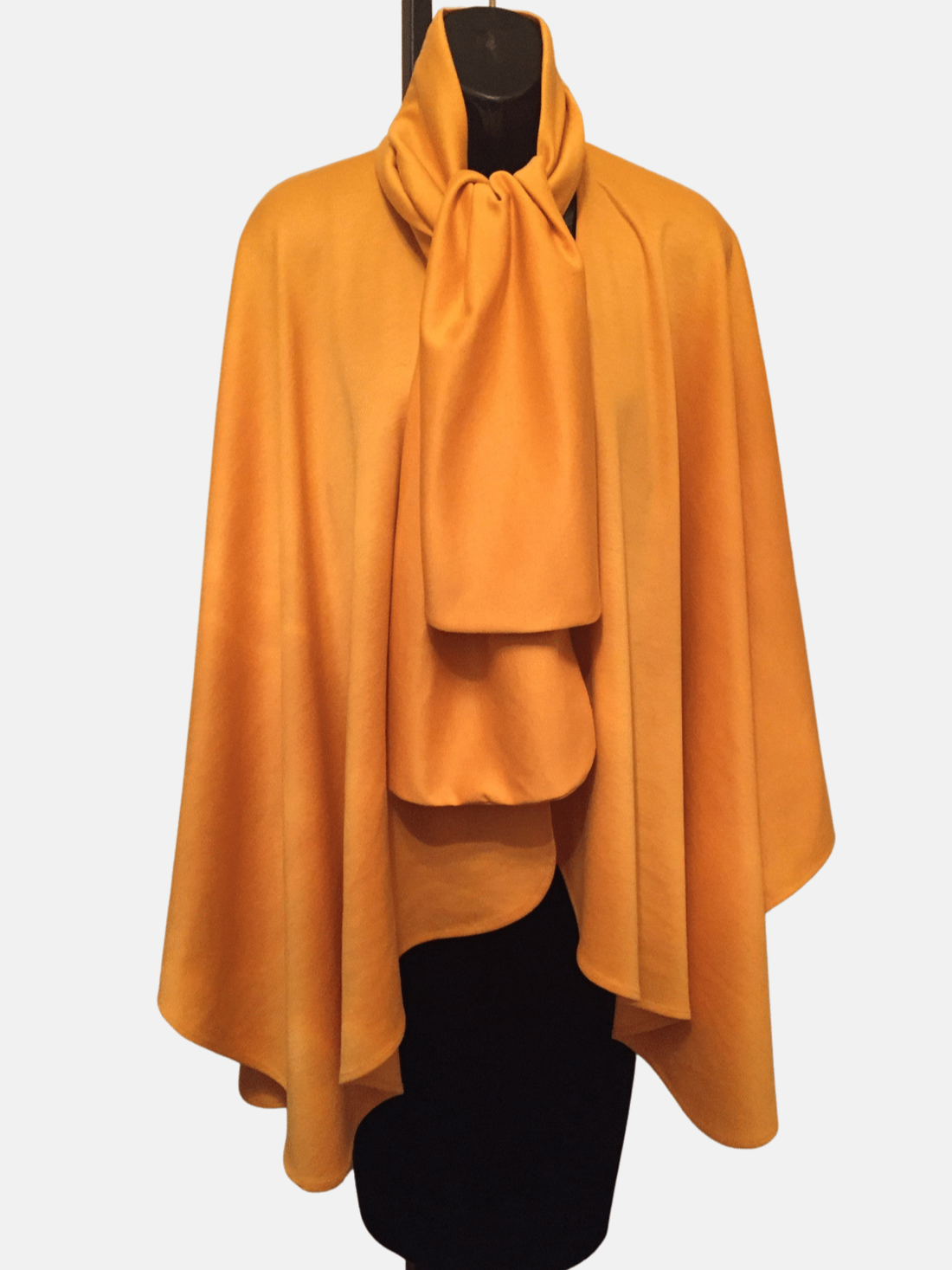 Golden Rod-Crop
