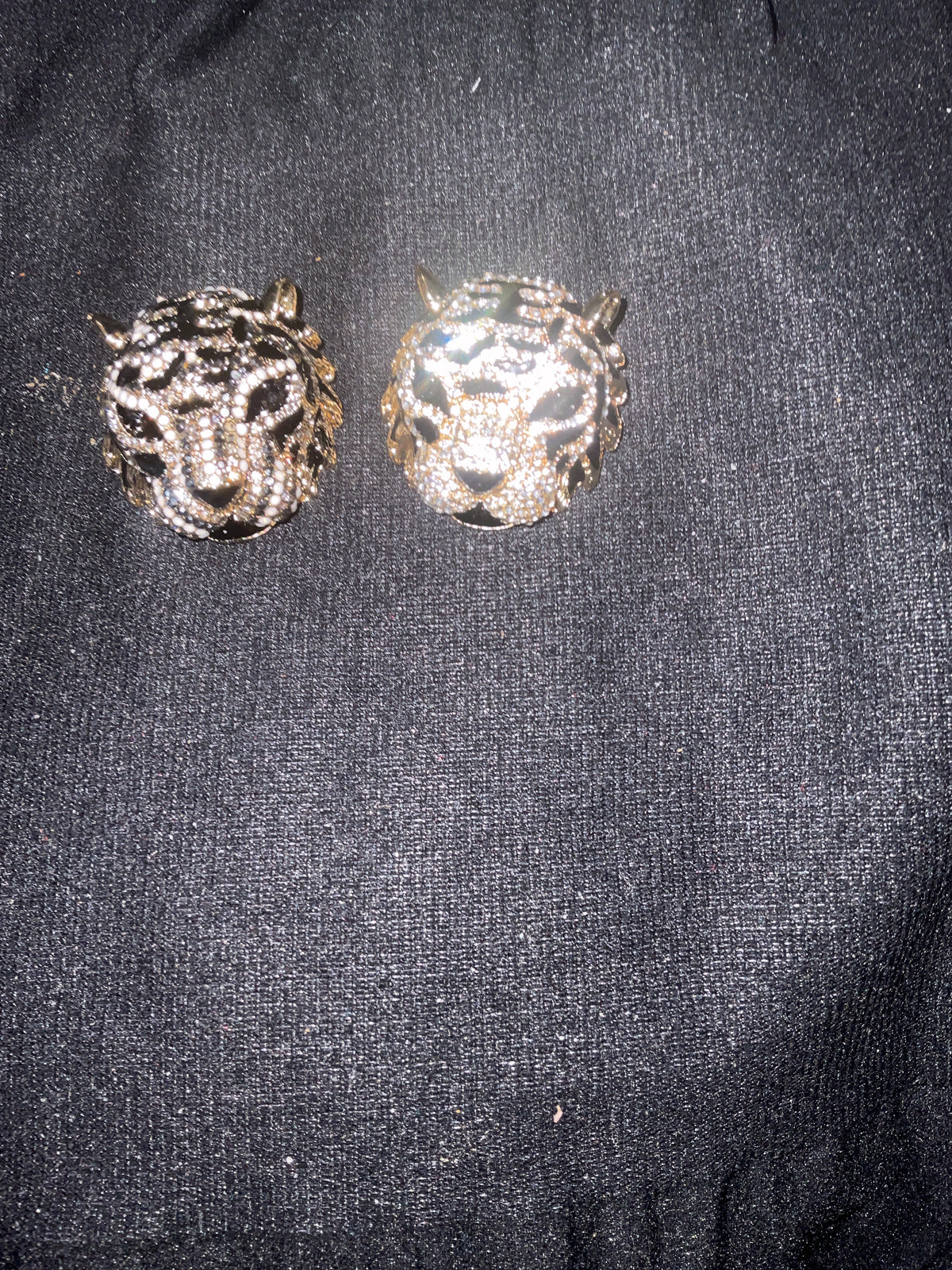 Tiger Head