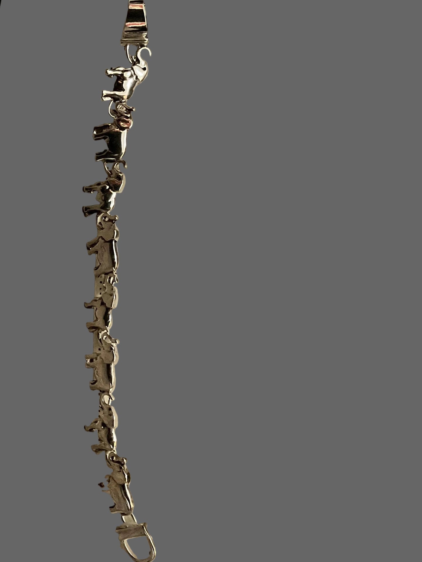 Elephant Congo S
