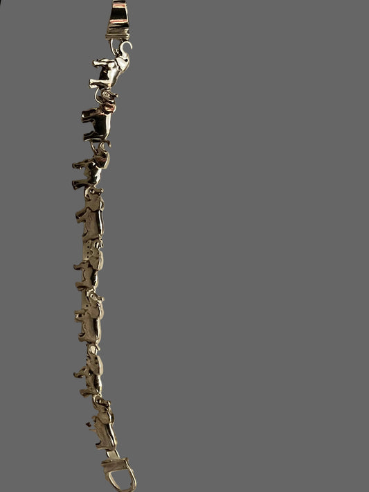 Elephant Congo S