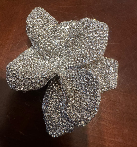 Opulence Silver