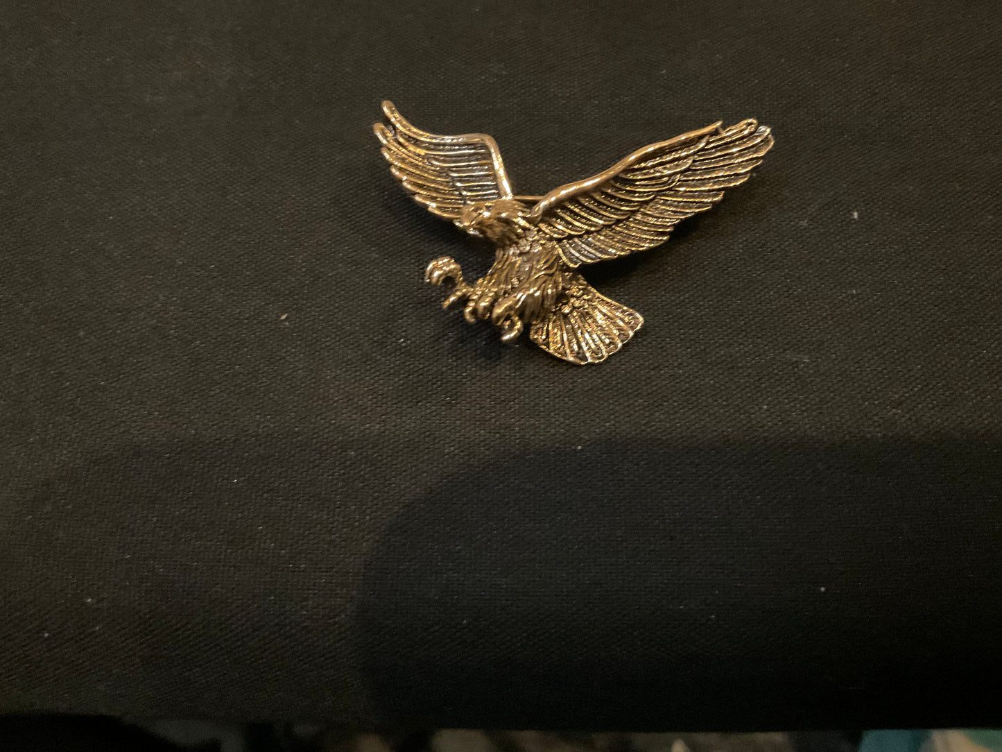 Soar Eagle G