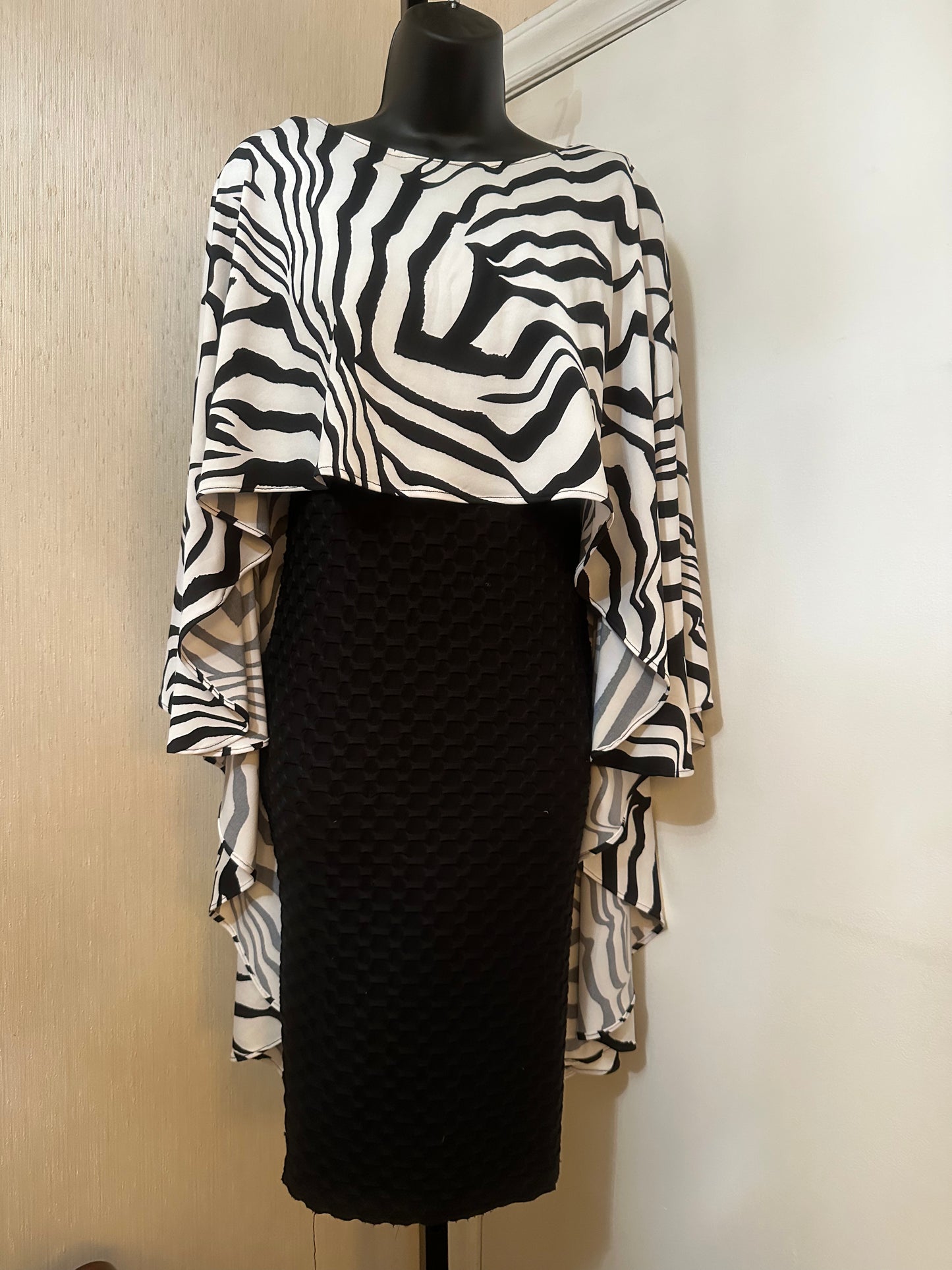 Zebra ITY Sassy Ext