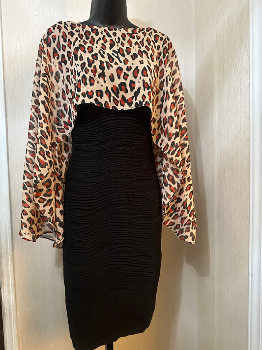 Rusty Leopard Cutie
