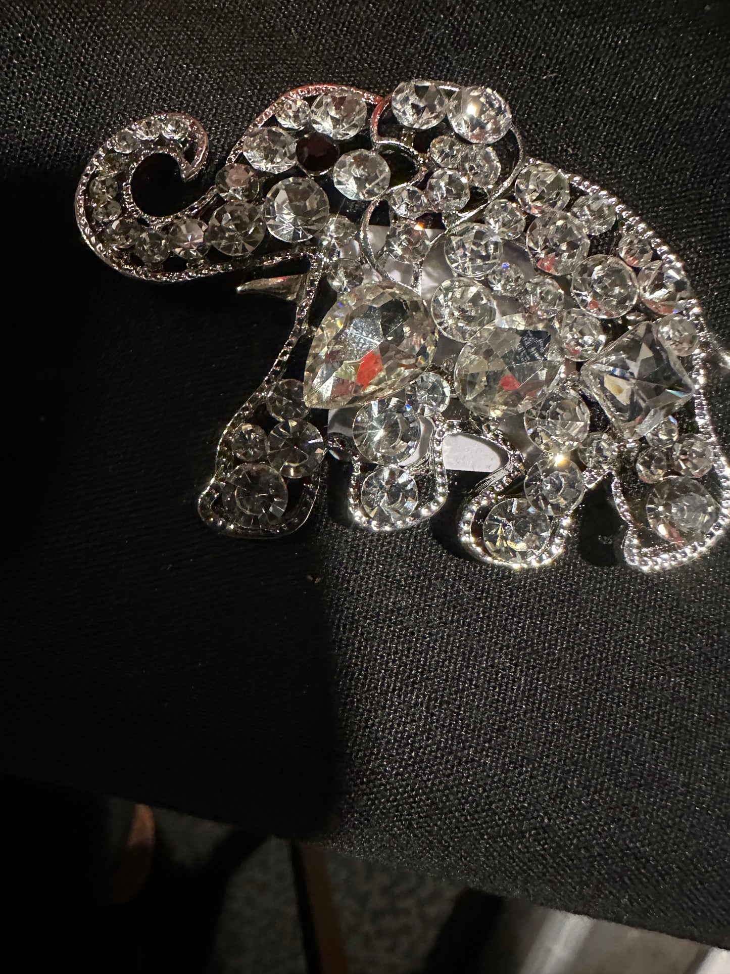 Clear Elephant